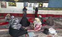 از دام تا سلامت؛ پُل آگاهی در پاقلعه