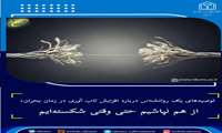 توصیه‌های یک روانشناس درباره افزایش تاب آوری در زمان بحران