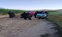 سرچشمه‌ی احترام به سن طلایی ها و سلام به سالمندی
