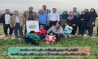 گزارش تصویری از برنامه های هفته سلامت مرکز خدمات جامع سلامت قلعه جق و خانه های بهداشت