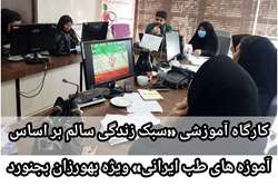 برگزاری کارگاه آموزشی «سبک زندگی سالم بر اساس آموزه های طب ایرانی» ویژه بهورزان شهرستان بجنورد